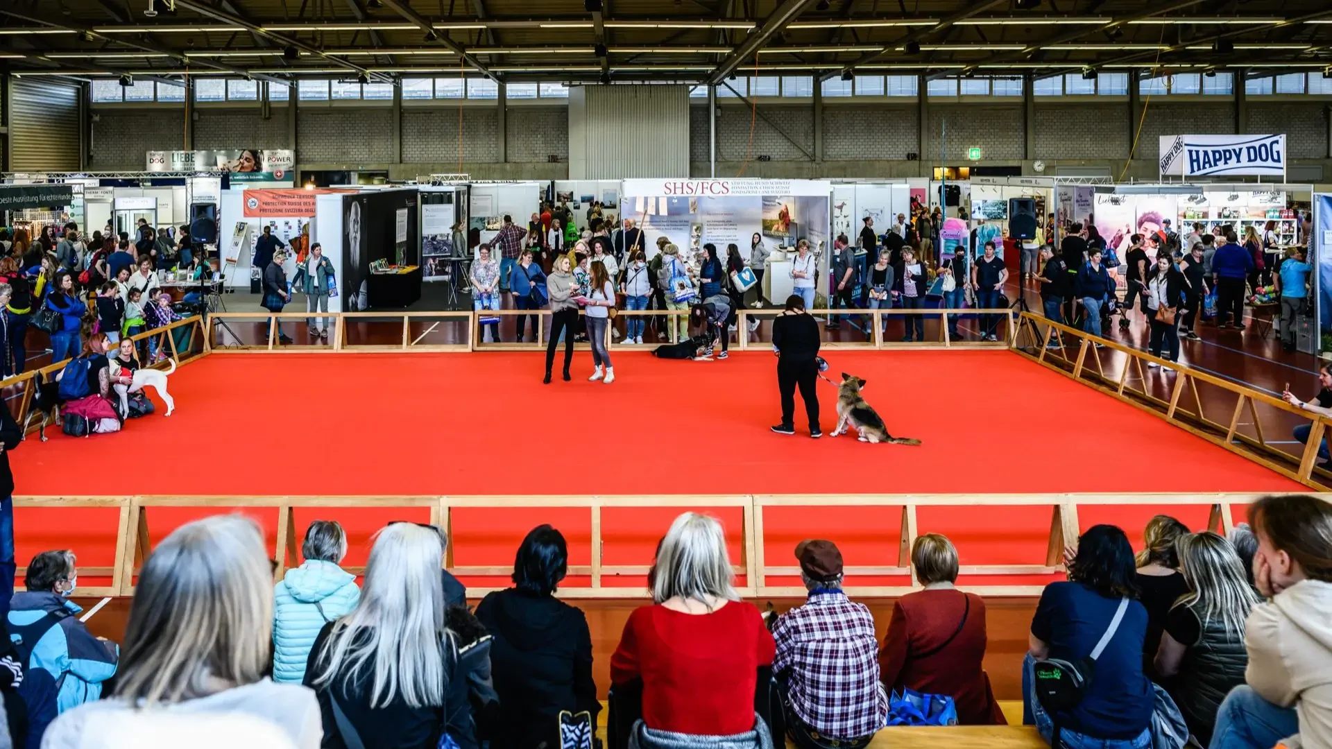 Hundeshow bei der Schweizerischen Hundefachmesse HUND 2022