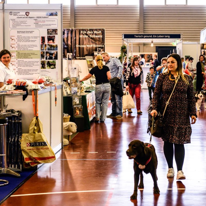 Hundefachmesse HUND Winterthur - Referenzbild